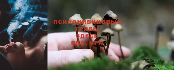 мяу мяу кристалл Нея