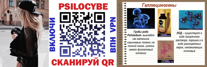 Галлюциногенные грибы Cubensis  Кувшиново 